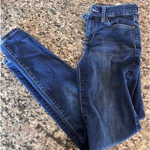 Dark Banana Republic Petite Skinny Jeans